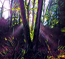 a0649050260_10.jpg
